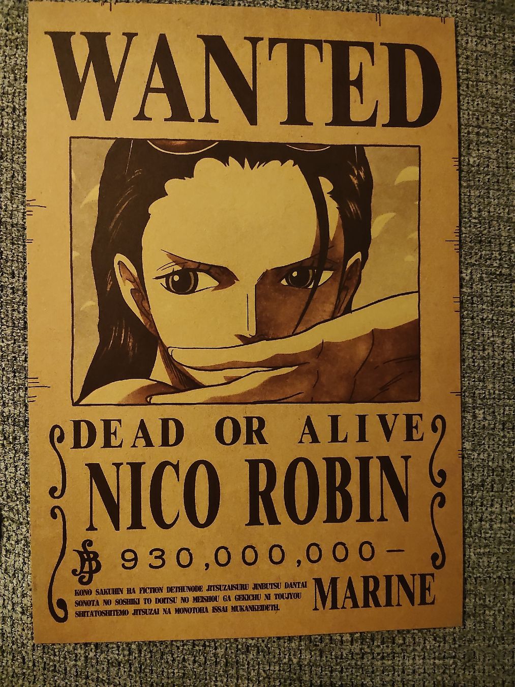 Poster & Bilder: Affiche One Piece Wanted Nico Robin  – Neu (gemäss Beschreibung) aus Ecublens VD von hel_t5v7