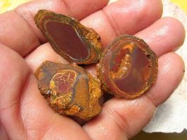 Yowah Opal Rough 3 Rubs 133.00Cts.
