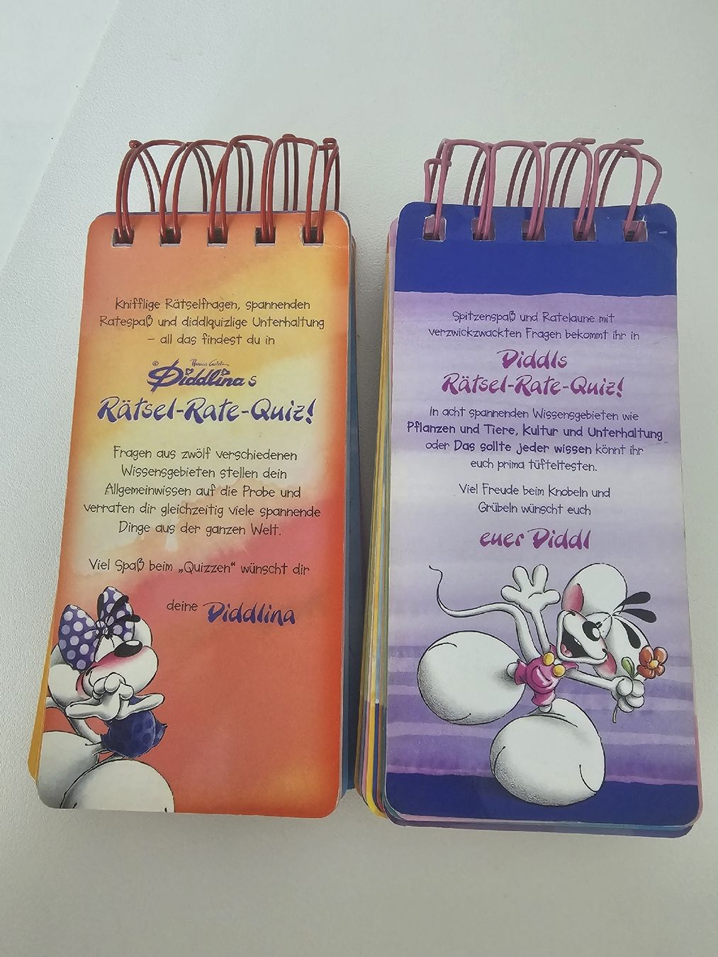 Spiele: Diddl Rätsel Rate Quiz 2003 – Vintage Sammlerstück – Gebraucht aus Nottwil von fa_el 1