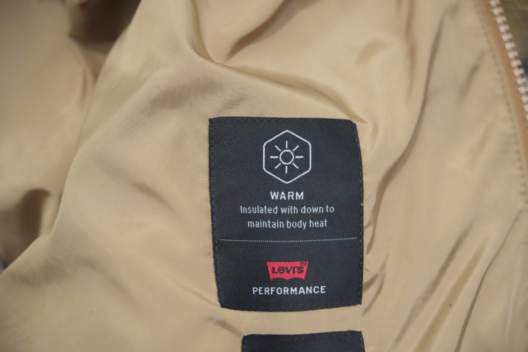 Levi's Giacche: Levis Corduroy Down Jacket – Usato da Neuchâtel venduto da yan_lq56 5