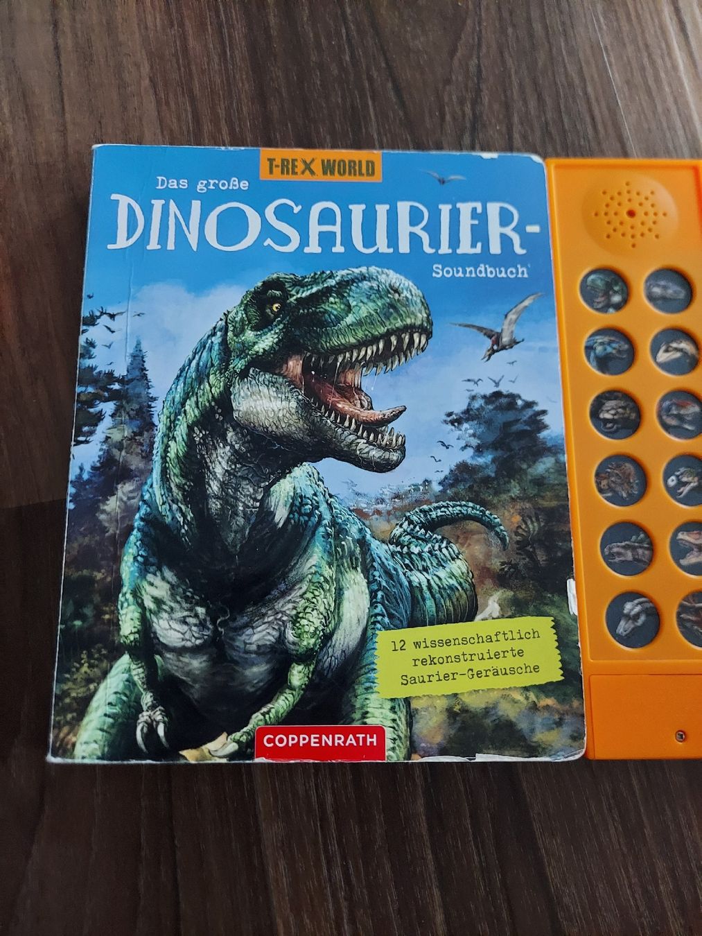 Libri: 2x Dinosaurier Bücher – Usato da Altishofen venduto da tammy05 1