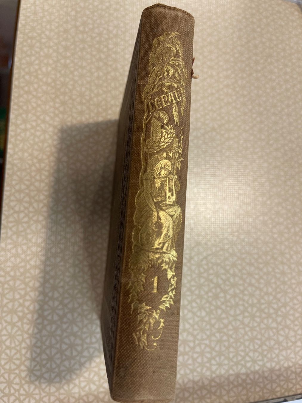 Libri: Buch - Gedichte von Nicolaus Lenau – Usato da Urnäsch venduto da pas_5r9c 1