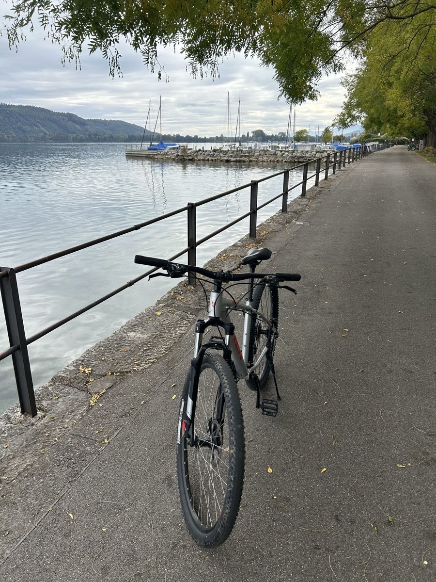 Trek Velos: Trek Marlin 5 – Gebraucht aus La Neuveville von max_z6h7 5