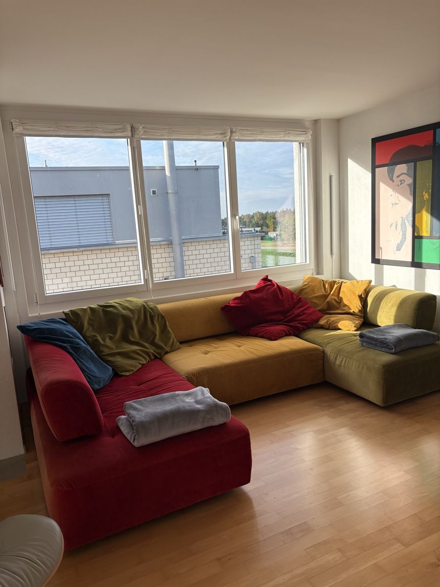 Divani: Sehr bequemes Sofa – Usato da Pfaffhausen venduto da Themey 1