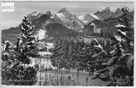 Chateau-d'Oex - Eisfeld