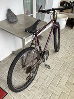 Mountain Bike, Herren Fahrrad 