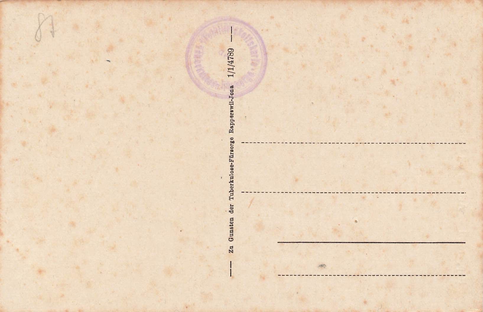 Cartoline postali: Rapperswil aufstieg mit schloss – Usato da Biasca venduto da Blenio71 1