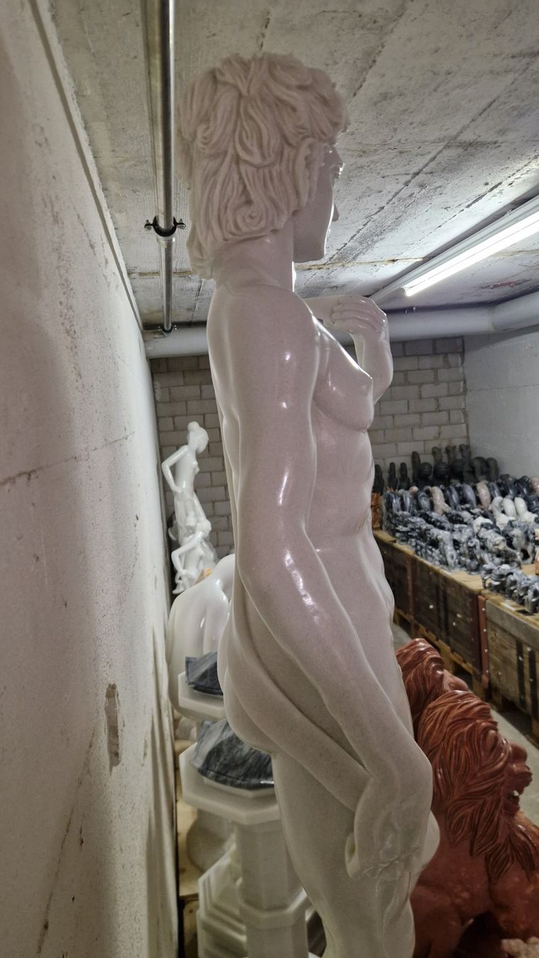 Sculture & Statue: David Statue aus Marmor 175cm – Nuovo (secondo la descrizione) da Roggliswil venduto da Crosser17 2