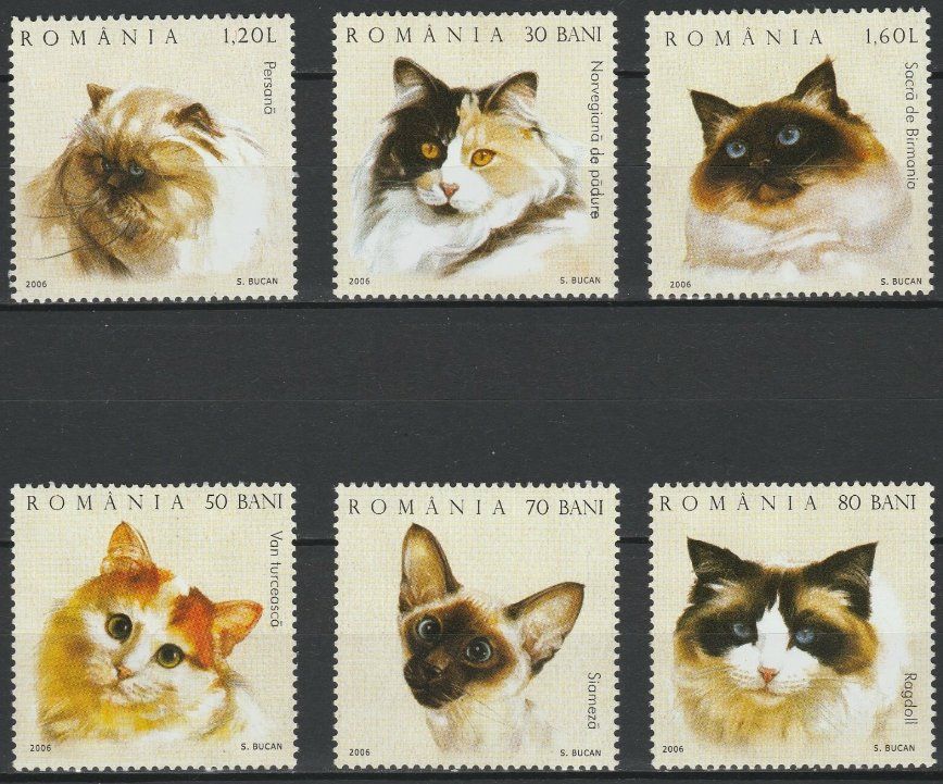 Tutti i francobolli: Rumänien 2006 Katzen postfrisch – Nuovo (secondo la descrizione) da Lausanne venduto da dsi_7l2q