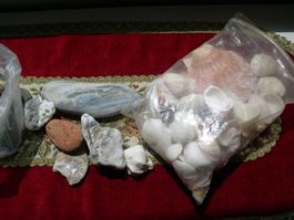 MUSCHELN + STEINE (Zum Basteln........