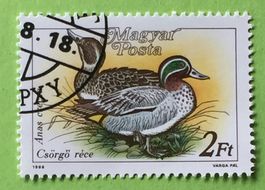 Briefmarken aus Ungarn gestempelt Siehe Original Fotos. 