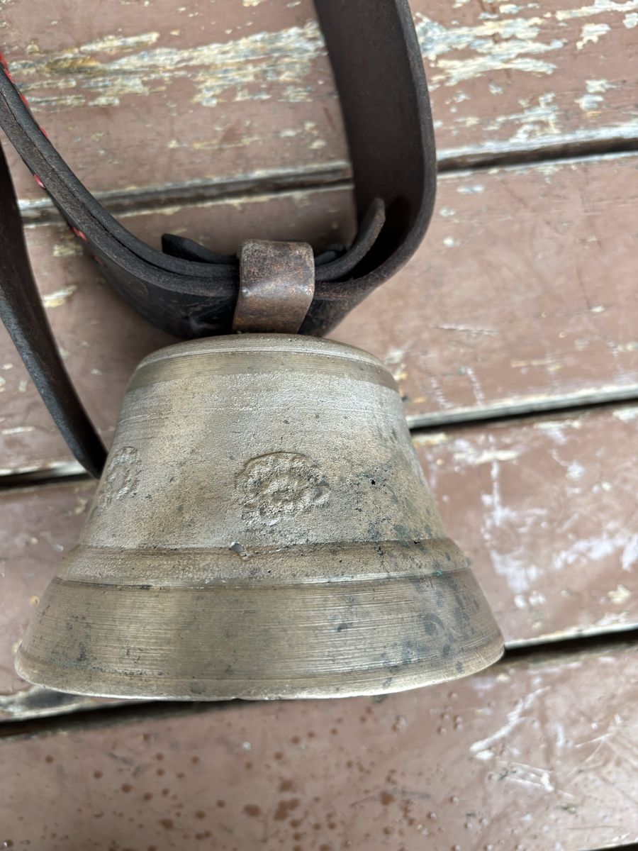 Campanacci mucche: Moser Glöggli – Usato da Schangnau venduto da Roseggli82 3