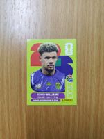 Panini WM 2026 Sticker - RSA 2