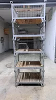 Gitterboxen 