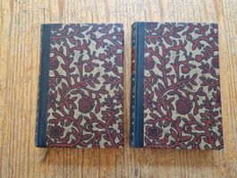 Anna Karenina, Tolstoi – 2 Bände (1928) Vintage Leder