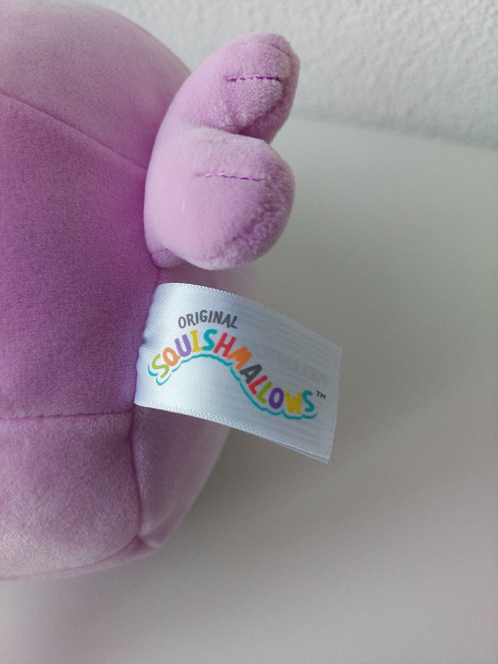Squishmallows Giocattoli: Squishmallows Plüschtier Robbe – Usato da Liesberg Dorf venduto da FamilieBond007 2
