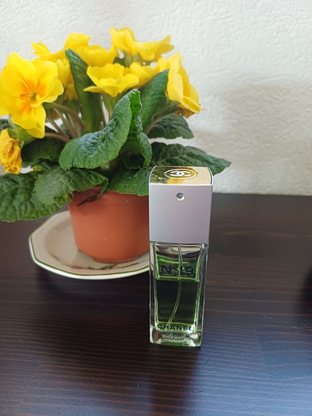 Chanel Profumi & Eau de Toilette: Parfum Chanel n°19 – Usato da Collonges venduto da cam_72xf