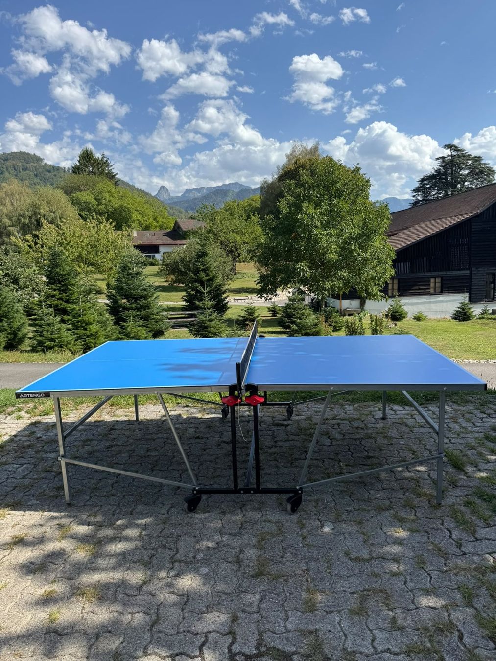 Decathlon Tennis da tavolo: Table de ping-pong Artengo – Usato da St Legier La Chiesaz venduto da pgjudd 5