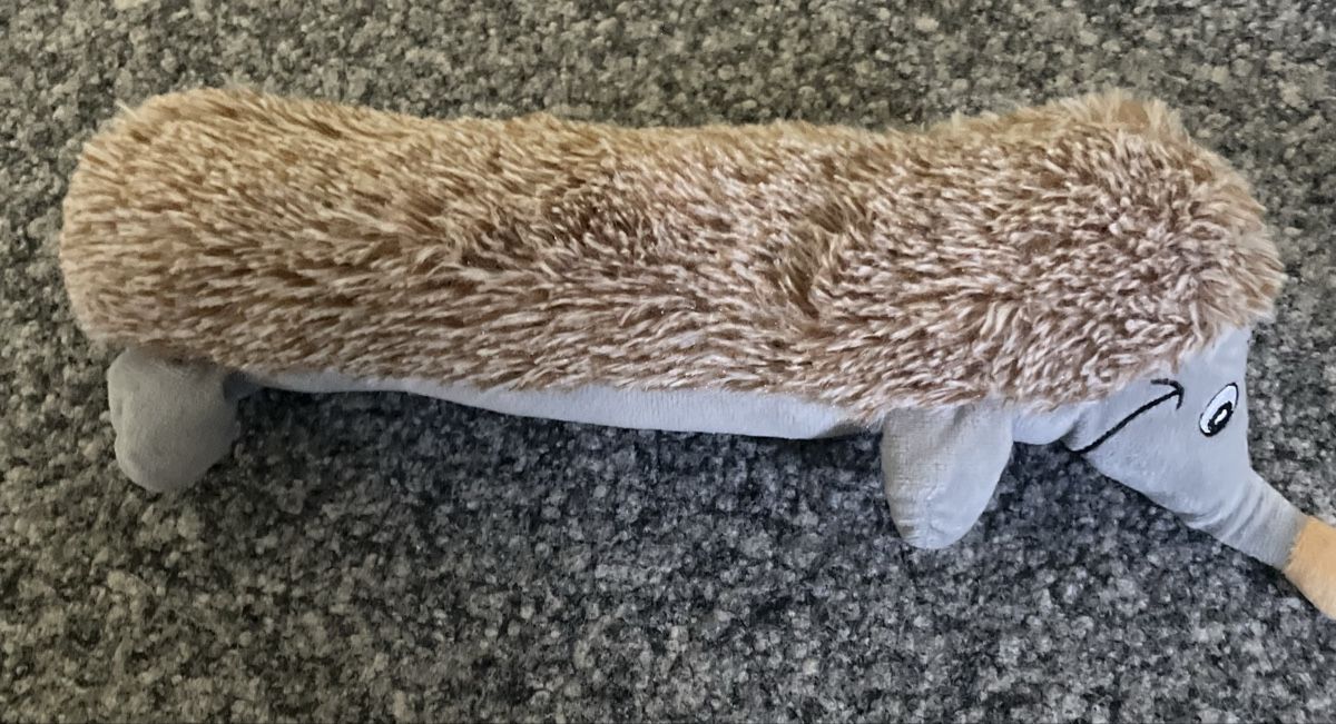 Spielzeuge: Hunde Spielzeug Neu – Neu (gemäss Beschreibung) aus Au ZH von Jaggy4 2