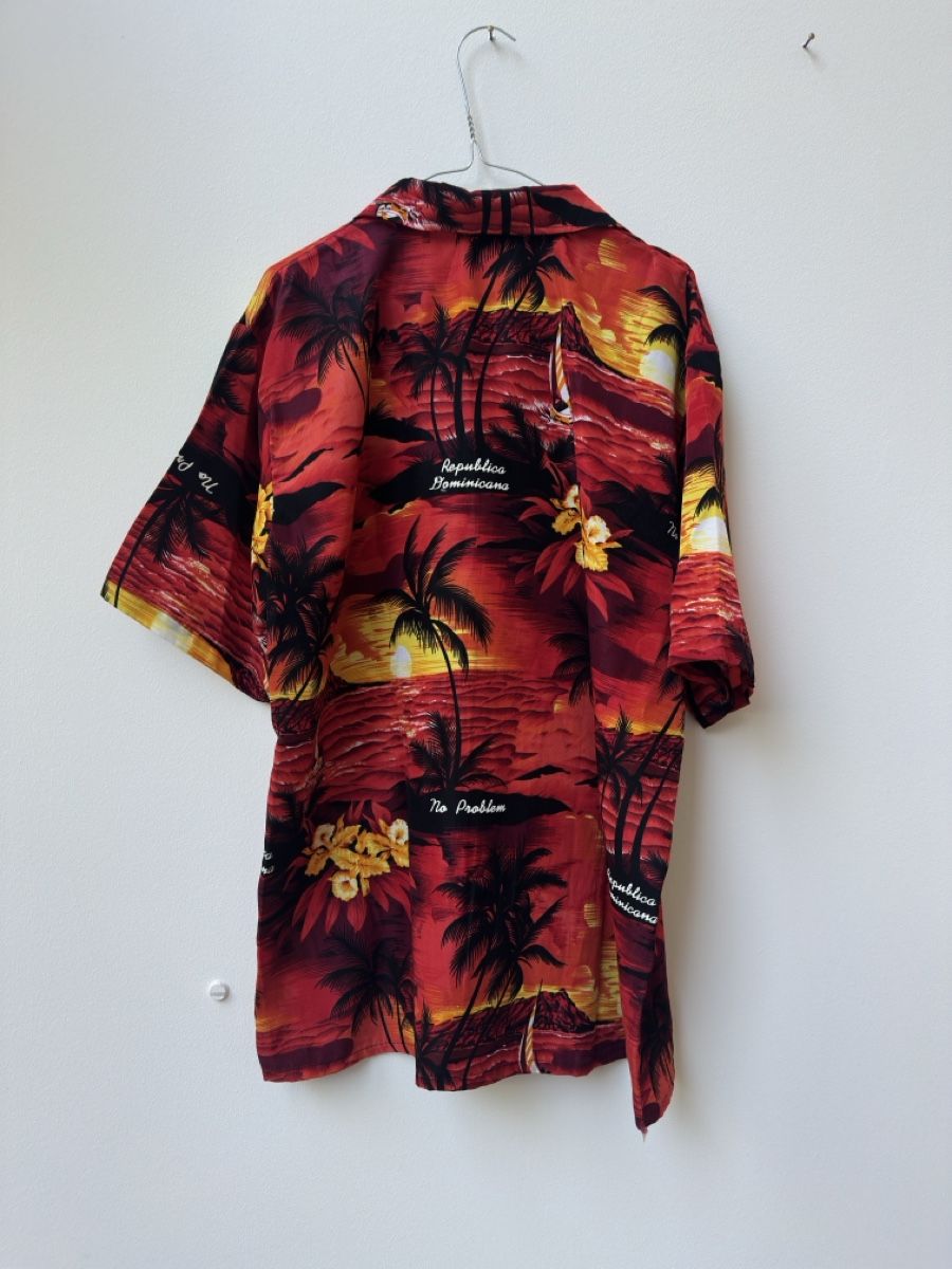 Camicie: Vintage Hawaii-Hemd, XL – Usato da Basel venduto da wardrobeupdate