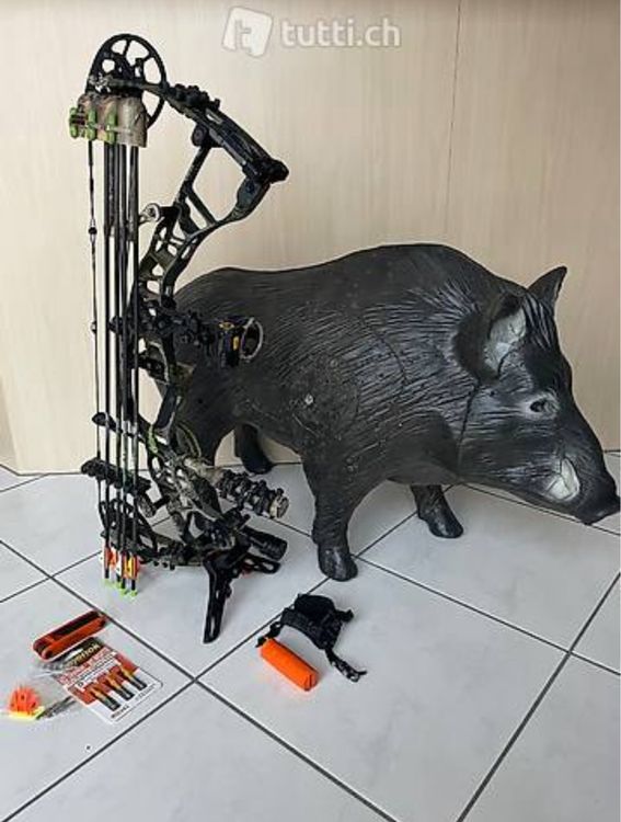 Cordon D'arc Hoyt Pro Defiant 30 #3 57,63 Par 60X Cordes