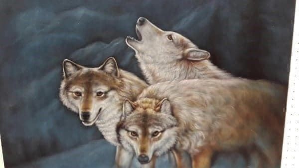Posters & Illustrations: Paisan "Wölfe" Samt Bild – D'occasion à Zürich par Galerie-Kunst