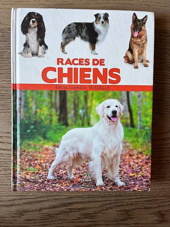 Bücher: Races de chiens / Encyclopédie visuelle – Gebraucht aus Chavannes-des-Bois von dvergani