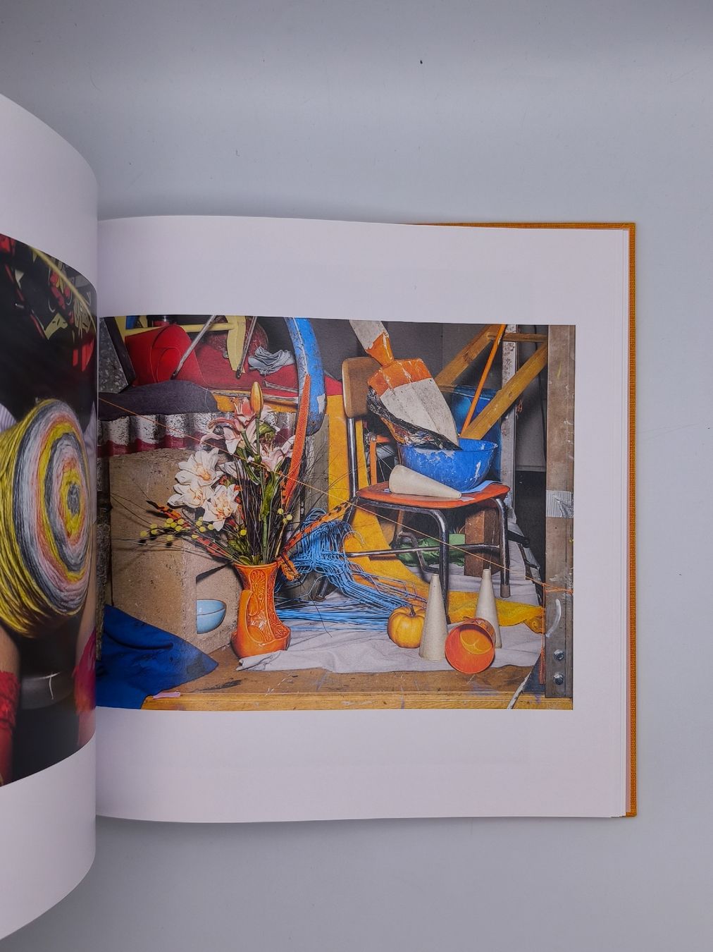 Libri: PHOTOBOOKS - ALEX SOTH - WIDMUNG – Usato da Goldach venduto da Gaip 8