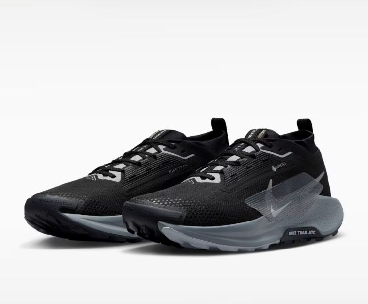 Nike Scarpe da donna: Nike trail pegasus 5 gtx – Nuovo (secondo la descrizione) da Martigny-Croix venduto da Jocelyne81