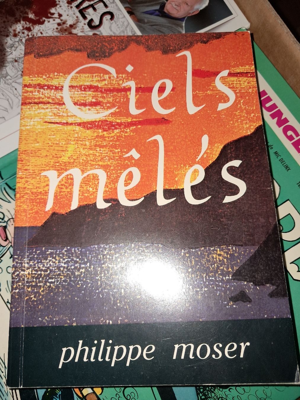 Libri: Ciels mêlés - 366 poèmes pour une année entière – Usato da Le locle venduto da juliensaran