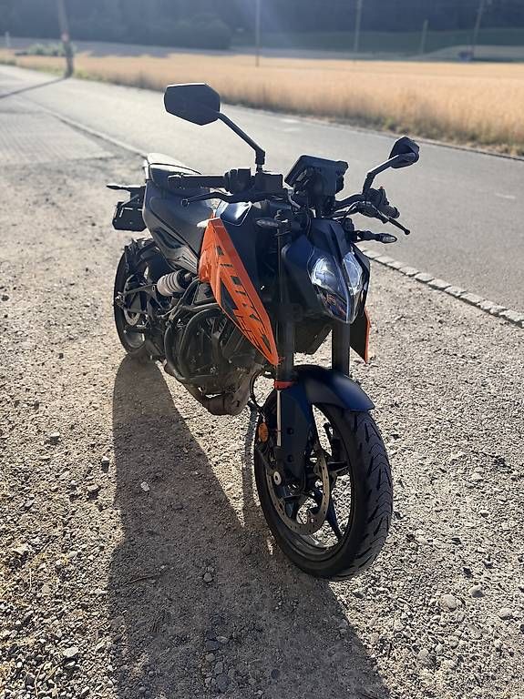 Strasse: KTM DUKE 125 2025 – Gebraucht aus Fahrwangen von kry_5kbd