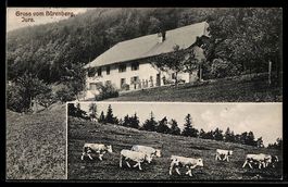 Péry-La Heutte, Bürenberg /Jura, Haus 