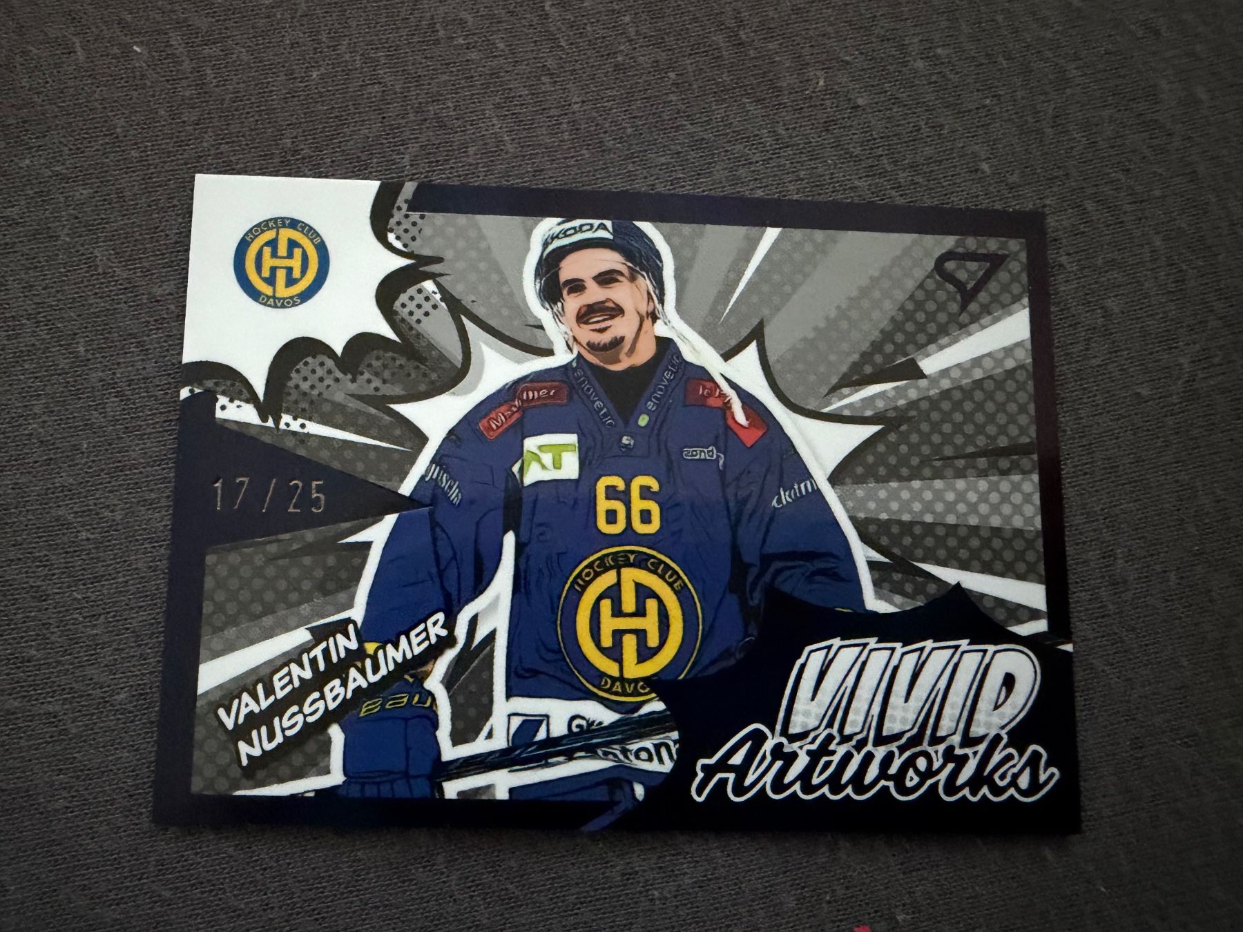 NHL Carte collezionabili: HCD Nussbaumer Hockey Card – Usato da Meierskappel venduto da Cc19