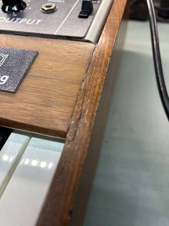 Moog Strumenti musicali: Vintage Minimoog Model D – Usato da Bellinzona venduto da Mauro03 3