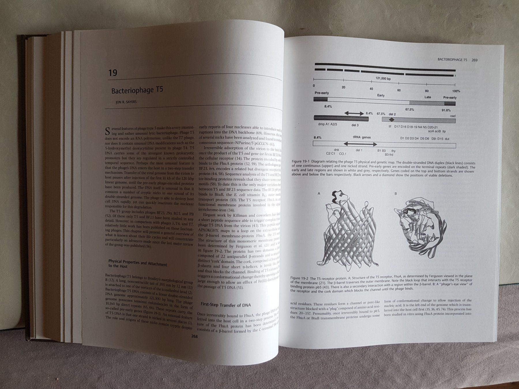Libri: The Bacteriophages - Richard Calendar - 2. Edition - 2006 – Usato da Walterswil BE venduto da Lonitti 5