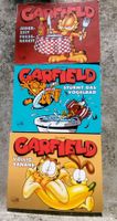 3 Garfield Comic Collection (Band 22 / 43 / 49)  Deutsch!