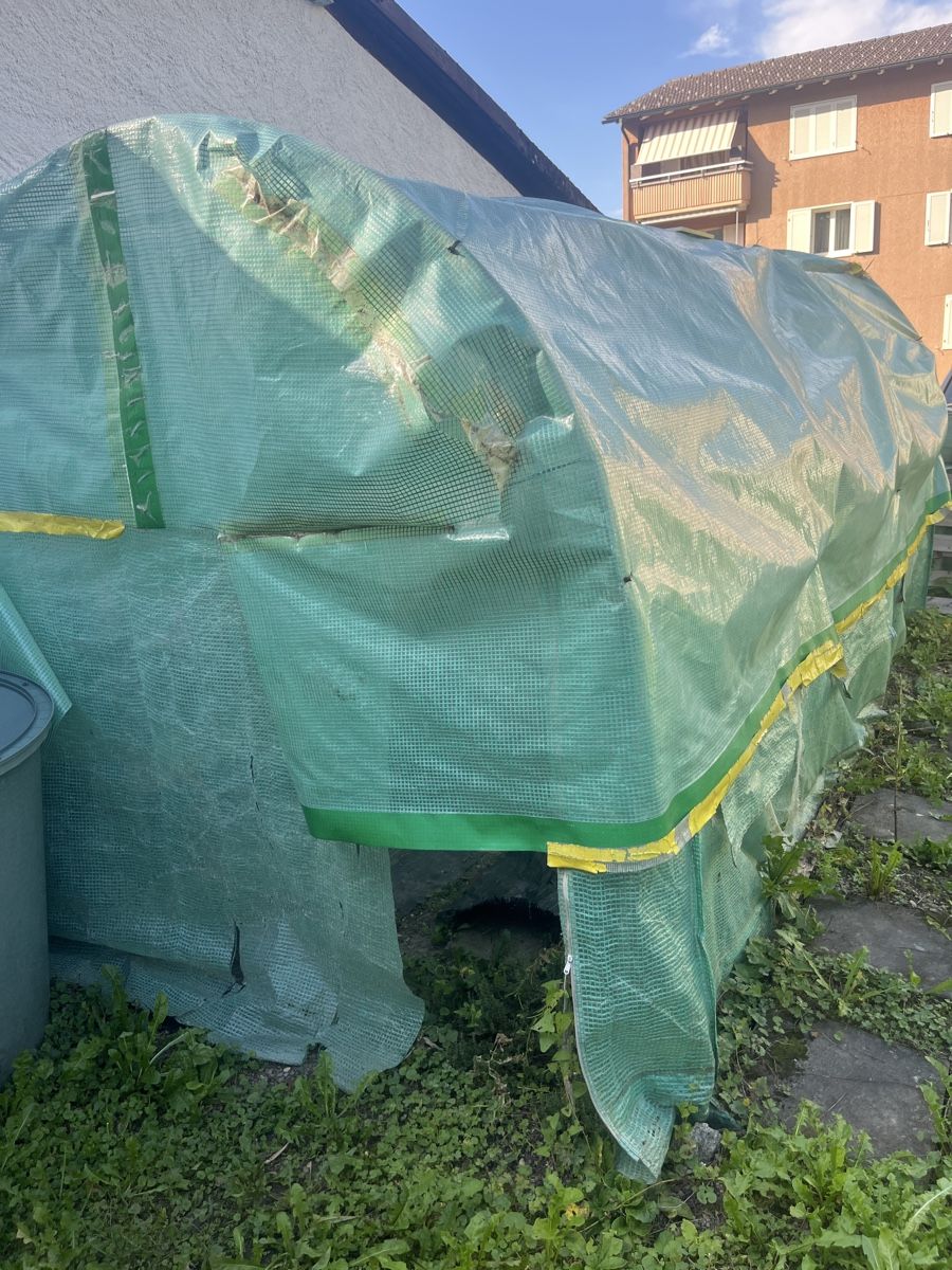 Gartenhäuser & Gewächshäuser: Gewächshaus  – Defekt aus Dietikon von Ute7092 1