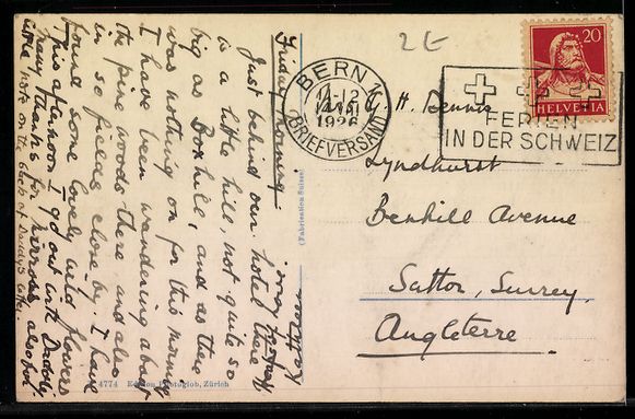 Cartes postales: Kleine Scheidegg, Panorama mit Eiger und – D'occasion à Berlin par bartko-reher 1