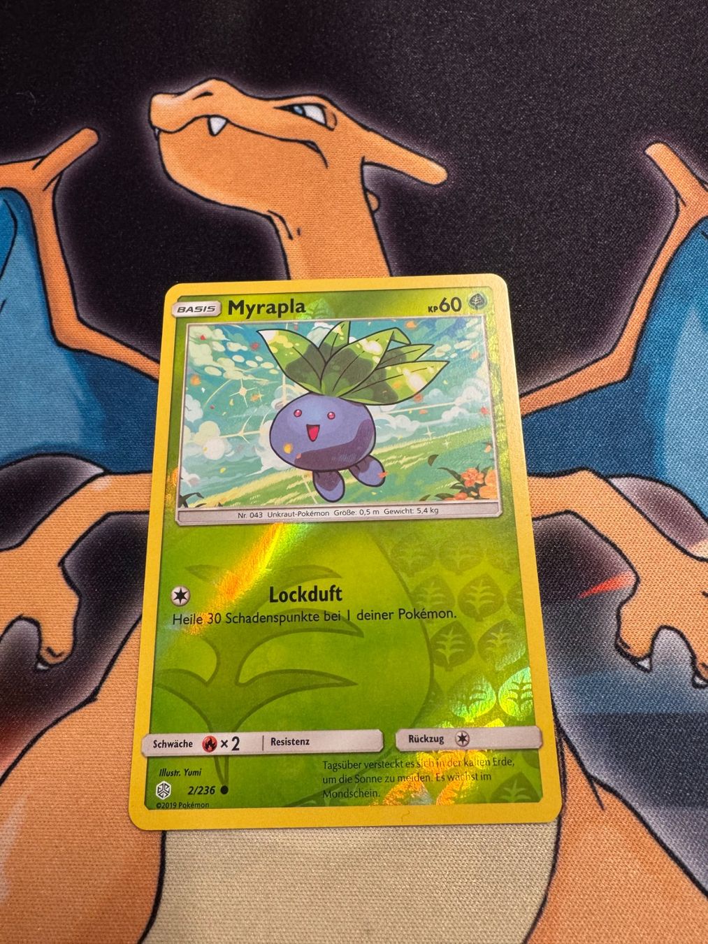 Pokémon Carte collezionabili: Myrapla (CEC 2) - Welten im Wandel – Nuovo (secondo la descrizione) da Bülach venduto da Pfrenzel