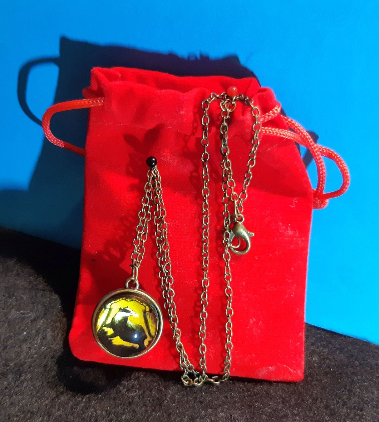 Catenine: Harry Potter Medaillon Halskette mit Amulett – Nuovo e nell'imballaggio originale da St. Margarethen TG venduto da ursk10 1