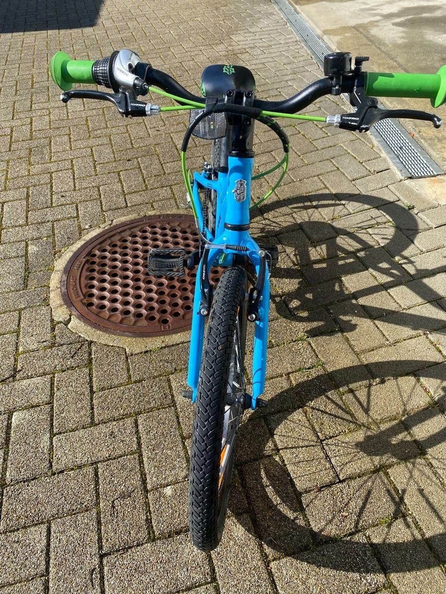 Flizzi Vélos: FLIZZI Velo 20 Zoll – D'occasion à Uster par marhie 4