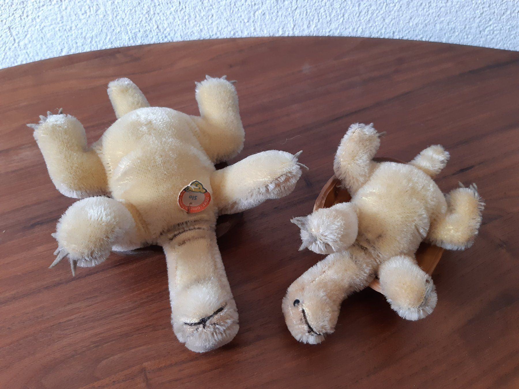 Steiff Giocattoli: Steiff 2 Schildkröten Gross und Klein – Usato da Aadorf venduto da Merlin111 1