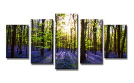+ LEINWAND WANDBILDER VERSCHIEDENE BILDER MOTIVE 200 X 100cm