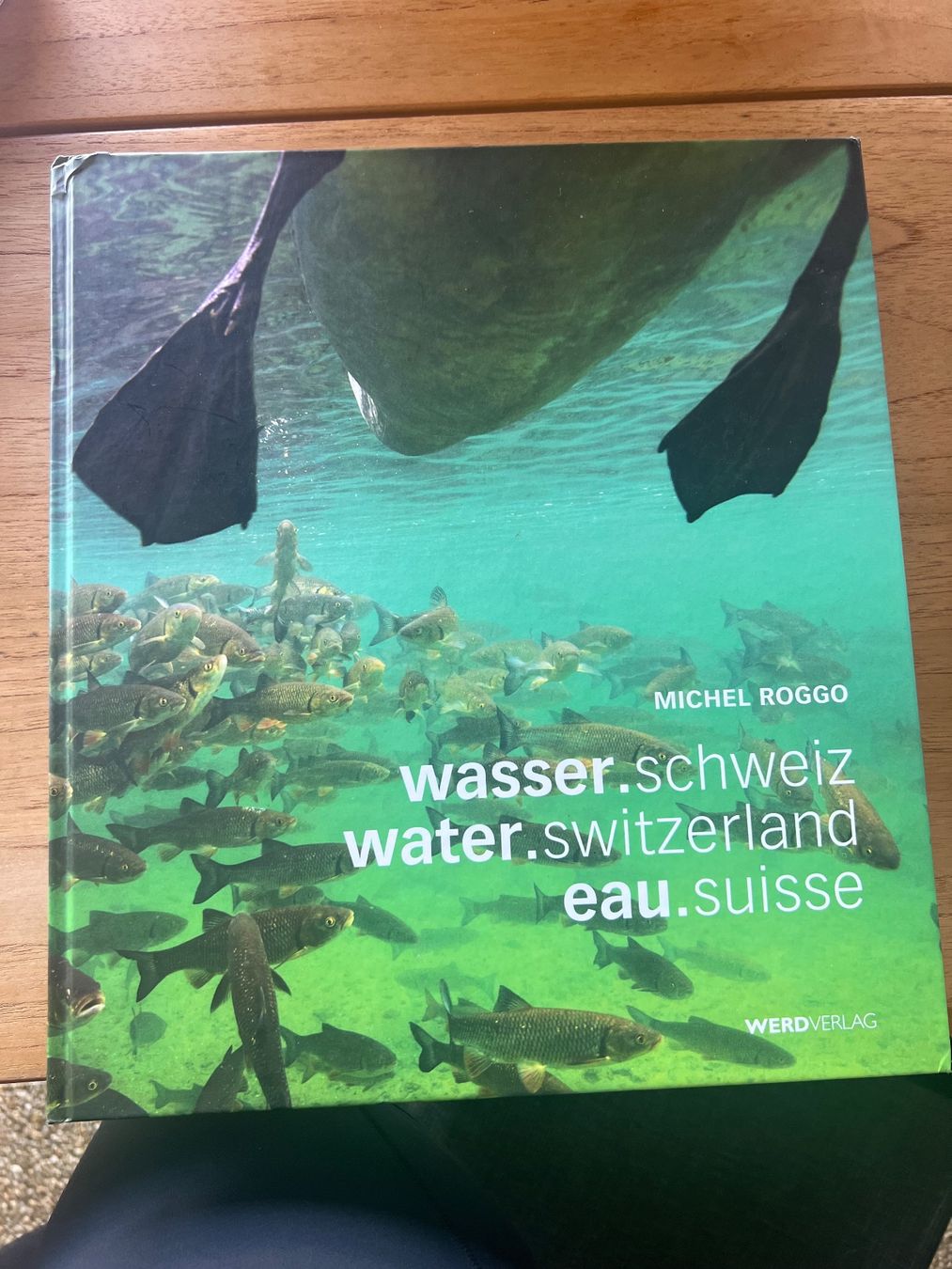 Libri: Wasser water eau Michel Roggo – Usato da Lugnorre venduto da jul_lnh6