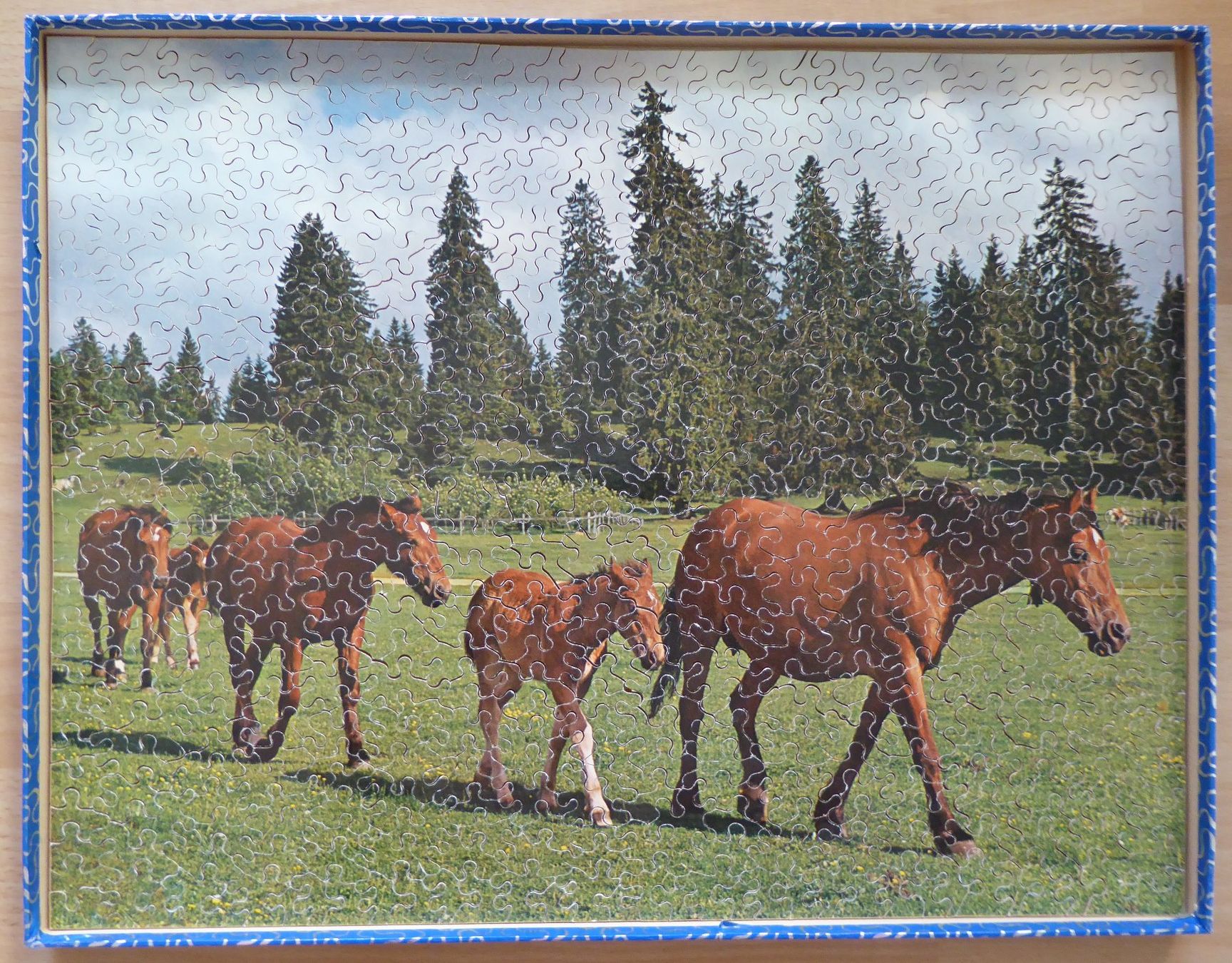 Penelope Puzzles: Penelope Puzzle 500 Teile - Pferde – Gebraucht aus Gossau SG von tenerife11 3