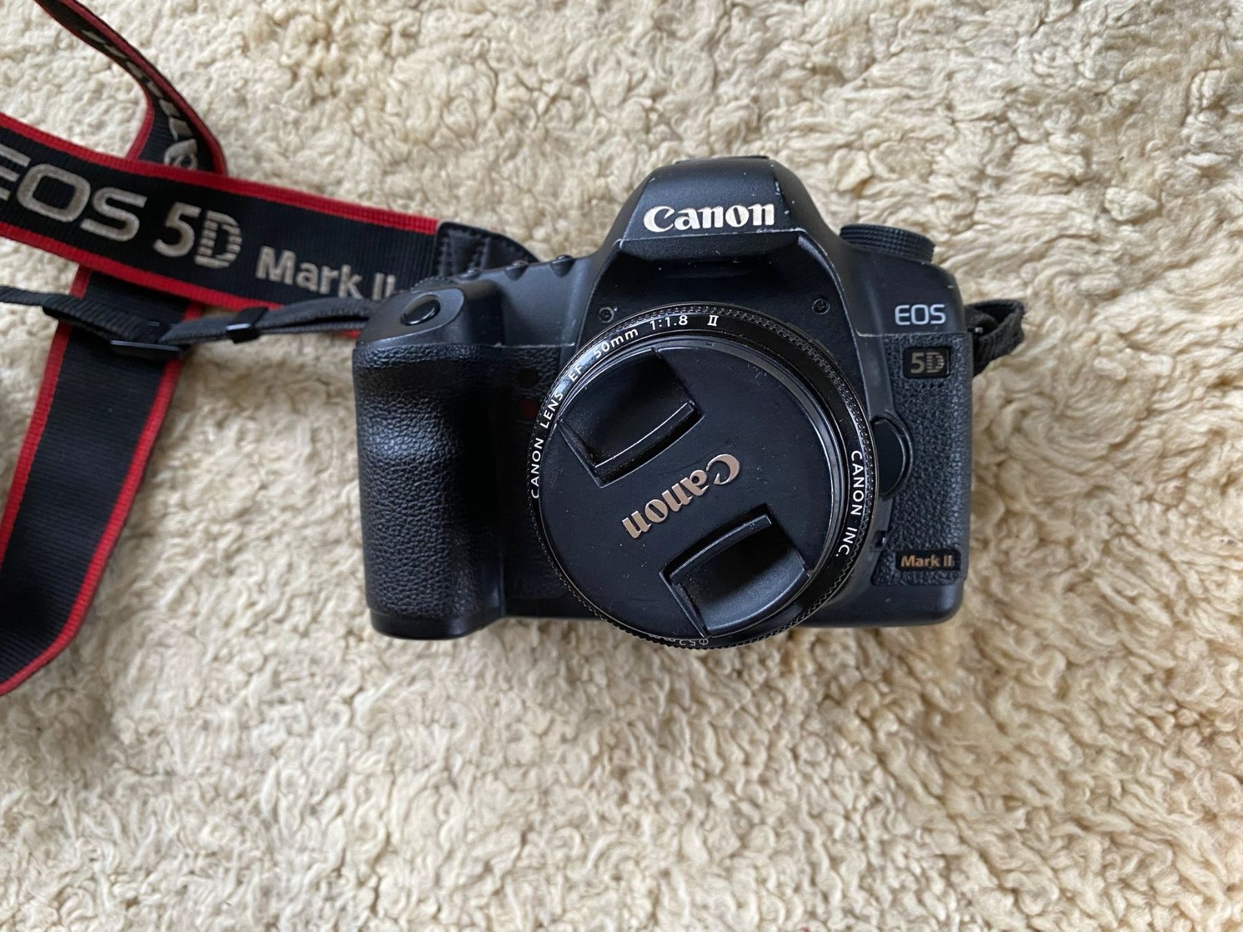 Canon Fotocamera: Kamera-Set Canon 5d Mark ii – Usato da Ebnat-Kappel venduto da del_9vyy 2