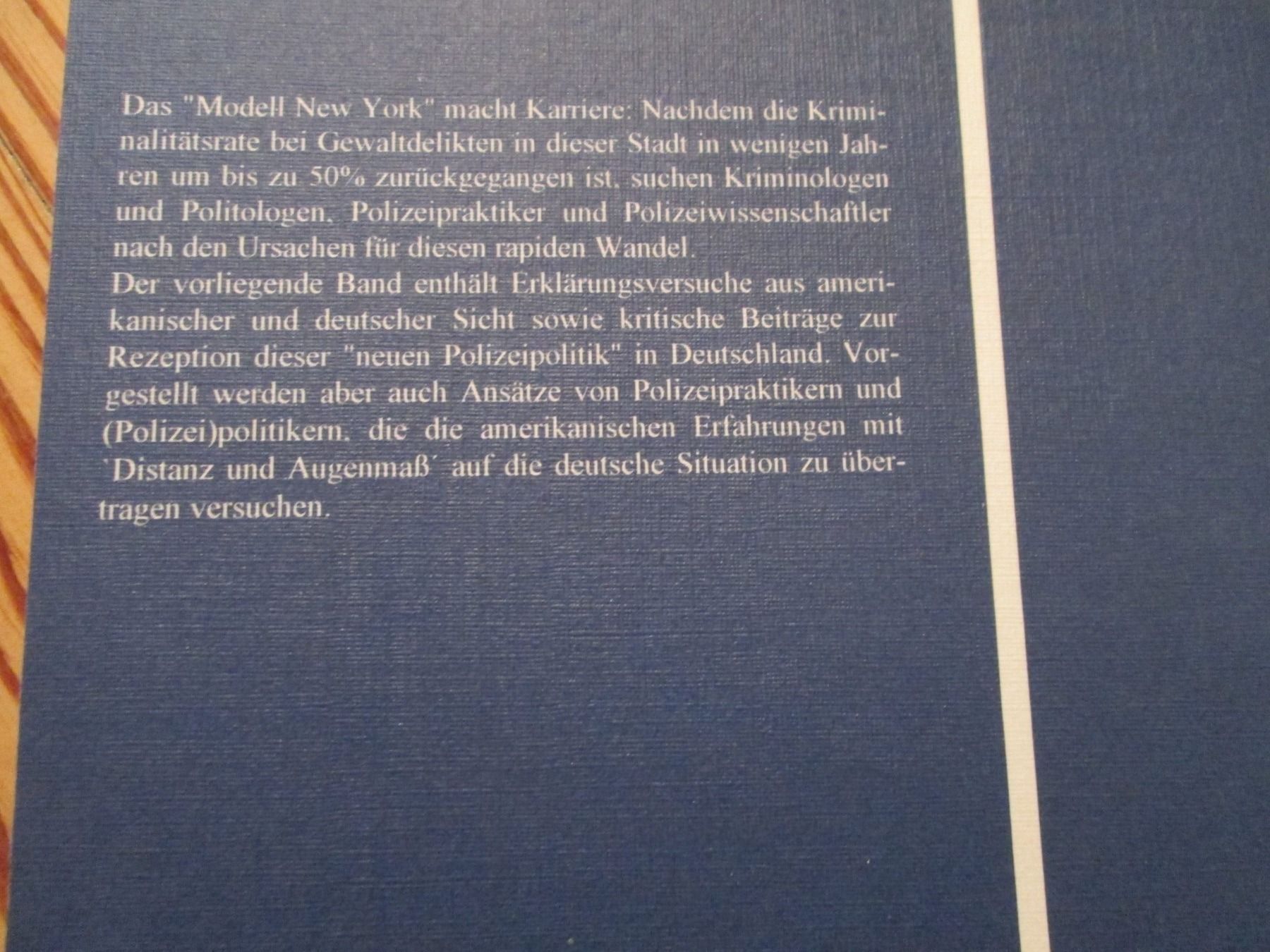 Libri: Das Modell New York – Usato da Neuchâtel venduto da Dualseele 2
