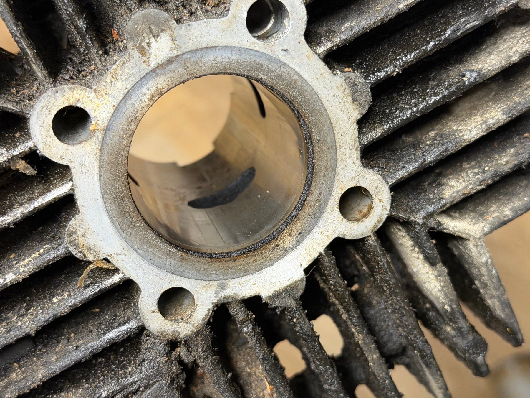 Parti ricambio per ciclomotori: Puch Supermaxi Zylinder original – Usato da Bolken venduto da si.x.las 3