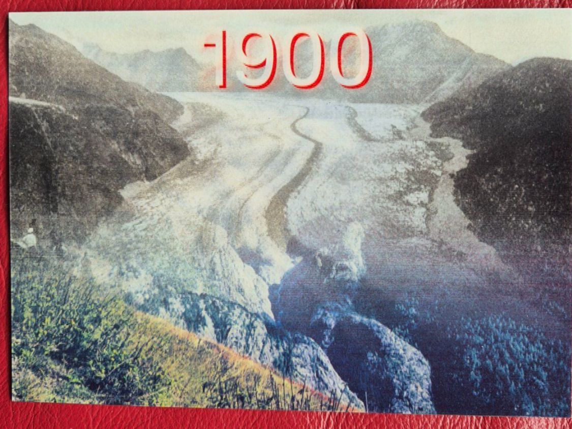 Cartoline postali: WWF Postkarte – Nuovo (secondo la descrizione) da Horw venduto da mi.ba