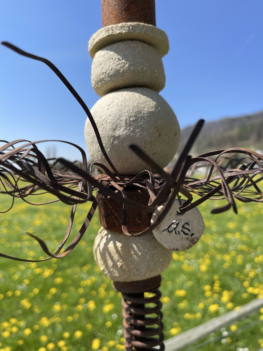 Sculture & Statue: Gartenskulptur – Nuovo (secondo la descrizione) da Weingarten-Kalth venduto da 53solti 2